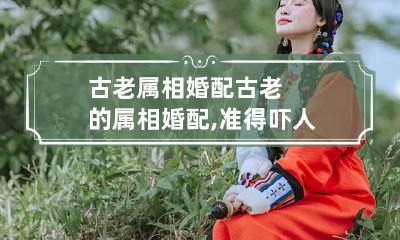 古老属相婚配 古老的属相婚配,准得吓人