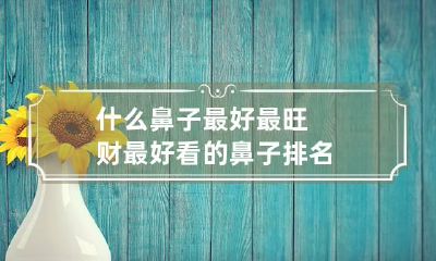 什么鼻子最好最旺财 最好看的鼻子排名