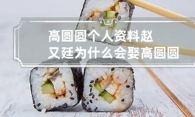 高圆圆个人资料 赵又廷为什么会娶高圆圆