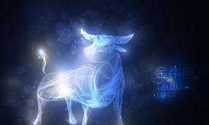 金牛女和处女男配对