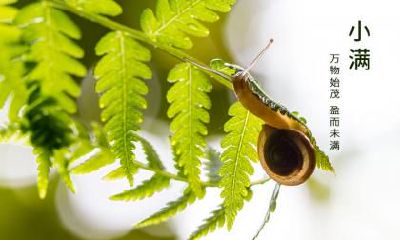雨水三候是什么？雨水节气有何气候特点？