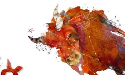 金牛座五一劳动节运程