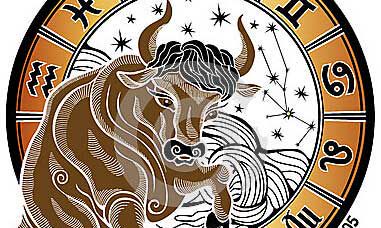 金牛座的初恋的味道