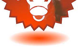 金牛座为爱做的改变