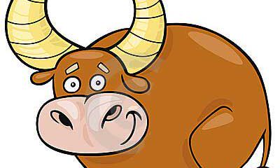 金牛座爱情可折腾几次