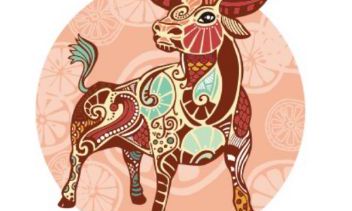 适合金牛座的染发色彩