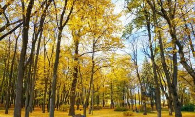 2019年惊蛰节气订婚好不好？订婚需要准备什么？