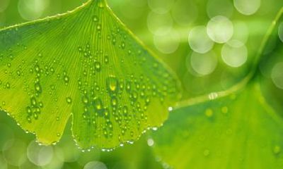 惊蛰日打雷下雨好不好？惊蛰打雷有什么寓意？