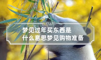 梦见过年买东西是什么意思 梦见购物准备过年