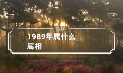 1989年属什么属相