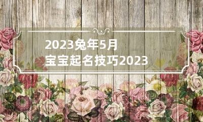 2023兔年5月宝宝起名技巧 2023年兔宝宝起什么名字好