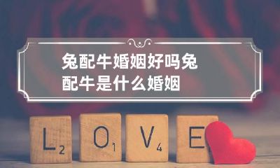 兔配牛婚姻好吗 兔配牛是什么婚姻