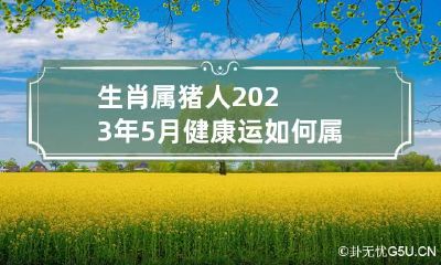 生肖属猪人2023年5月健康运如何 属猪的2023年的运怎么样
