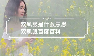 双凤眼是什么意思 双凤眼百度百科