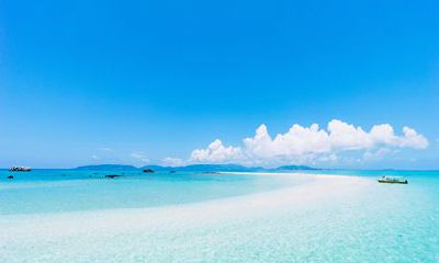 2022不宜搬家的生肖 属虎搬家结婚都不宜