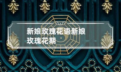 新娘玫瑰花语 新娘玫瑰花期