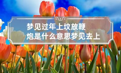 梦见过年上坟放鞭炮是什么意思 梦见去上坟放鞭炮是什么意思