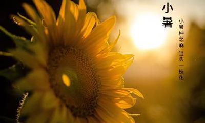 2018年小暑出生男孩五行缺金起名,小孩缺金怎么办？