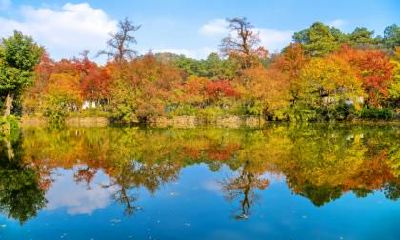 2021牛年农历五月十二日夏至节气签约好不好？