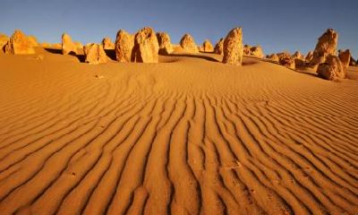 2018年小暑生的八字五行缺土男孩起名
