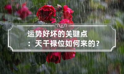运势好坏的关键点：天干禄位如何来的？