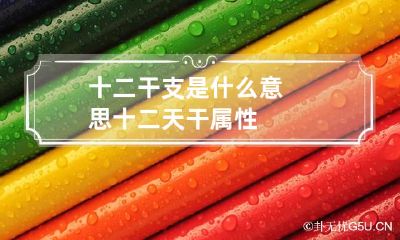 十二干支是什么意思 十二天干属性