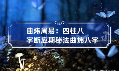 曲炜周易：四柱八字断应期秘法 曲炜八字四柱信息取象