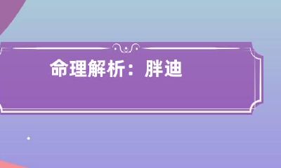 命理解析：胖迪