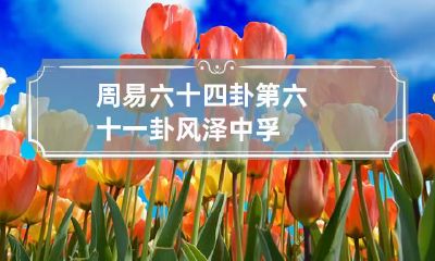 周易六十四卦第六十一卦 风泽中孚