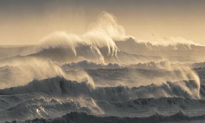 2022年生肖猪的全年运势女 切勿被他人影响到自己