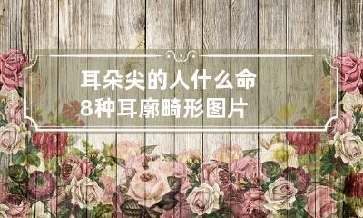 耳朵尖的人什么命 8种耳廓畸形图片