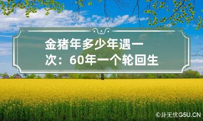 金猪年多少年遇一次：60年一个轮回 生肖金猪多少年一次