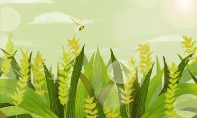 属虎人夏至节气出生好吗,生肖虎哪个时辰出生最好?