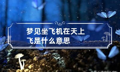 梦见坐飞机在天上飞是什么意思