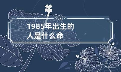 1985年出生的人是什么命