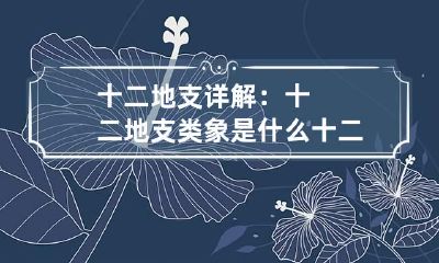 十二地支详解：十二地支类象是什么 十二地支的象