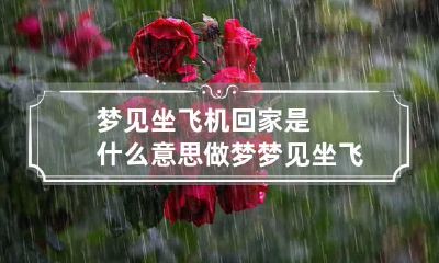 梦见坐飞机回家是什么意思 做梦梦见坐飞机回家是什么意思