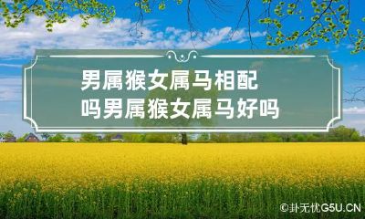 男属猴女属马相配吗 男属猴女属马好吗
