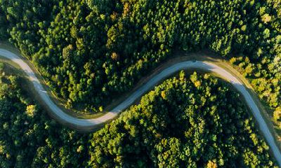 2022年6月份出生的虎宝宝八字 为人聪明能干品性刚直