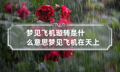 梦见飞机璇转是什么意思 梦见飞机在天上飞旋转