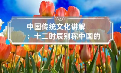 中国传统文化讲解：十二时辰别称 中国的十二个时辰名称的由来