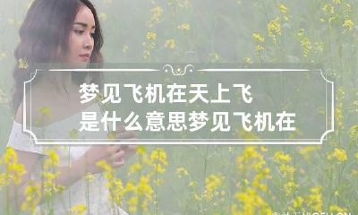 梦见飞机在天上飞是什么意思 梦见飞机在天上飞啥意思