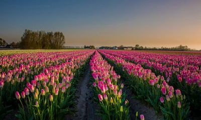 2022年什么生肖最旺马的财运 属兔旺事业