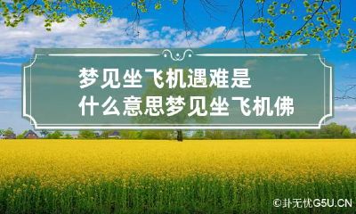 梦见坐飞机遇难是什么意思 梦见坐飞机佛滔算命网