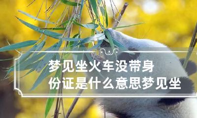 梦见坐火车没带身份证是什么意思 梦见坐火车忘带东西
