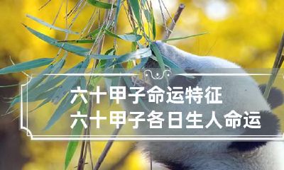 六十甲子命运特征 六十甲子各日生人命运