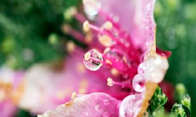 2022年犯太岁最凶的四大生肖 属猴财运不利