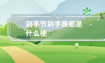 剁手节剁手族都是什么梗