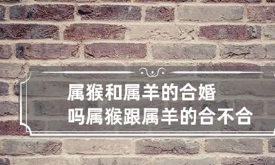 属猴和属羊的合婚吗 属猴跟属羊的合不合适