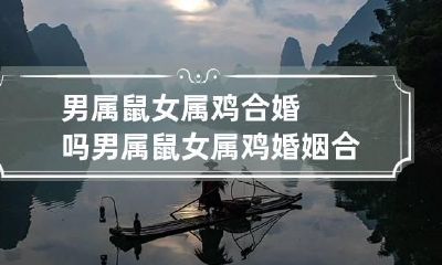 男属鼠女属鸡合婚吗 男属鼠女属鸡婚姻合不合